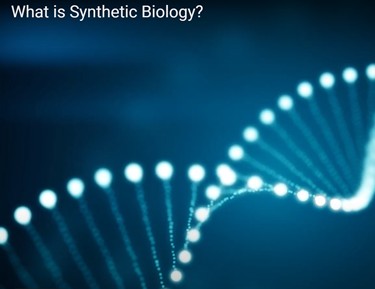 DNA double helix