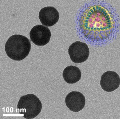 round vesicle with a quadrant cut out to show the inside of the vesicle loaded with a drug and black cells representing cancer cells