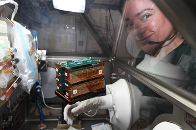 astronaut with tissue chip experiment