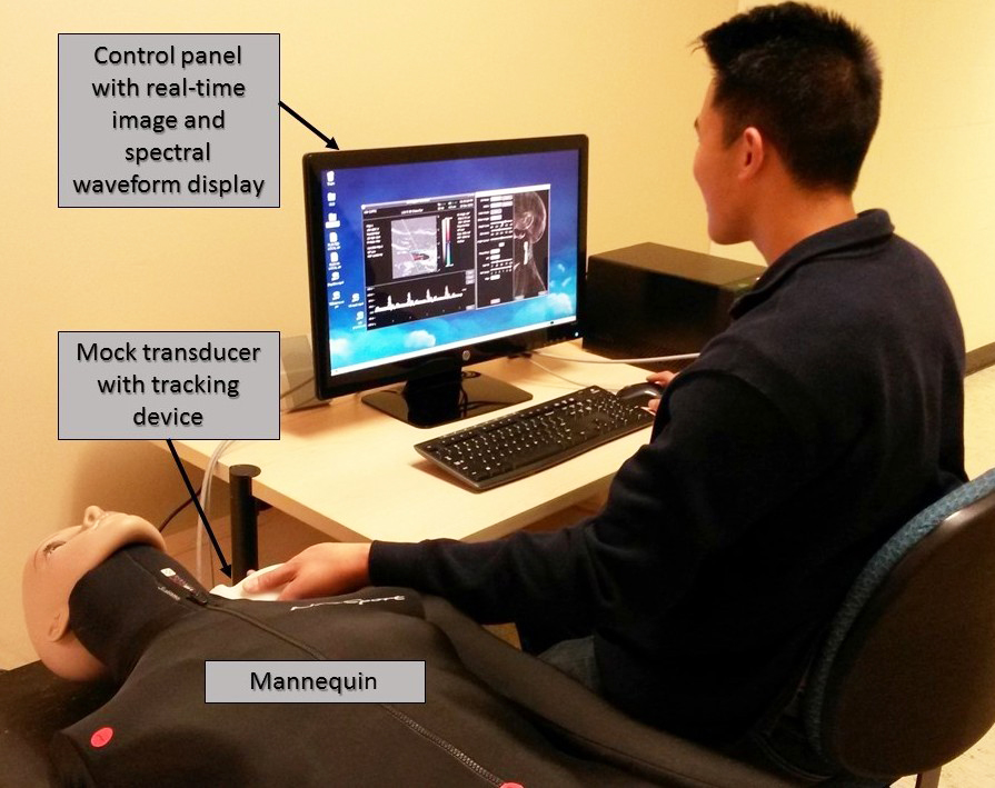 Duplex ultrasound simulator