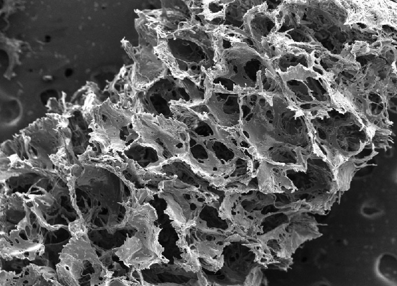 Picture of silk scaffold close up