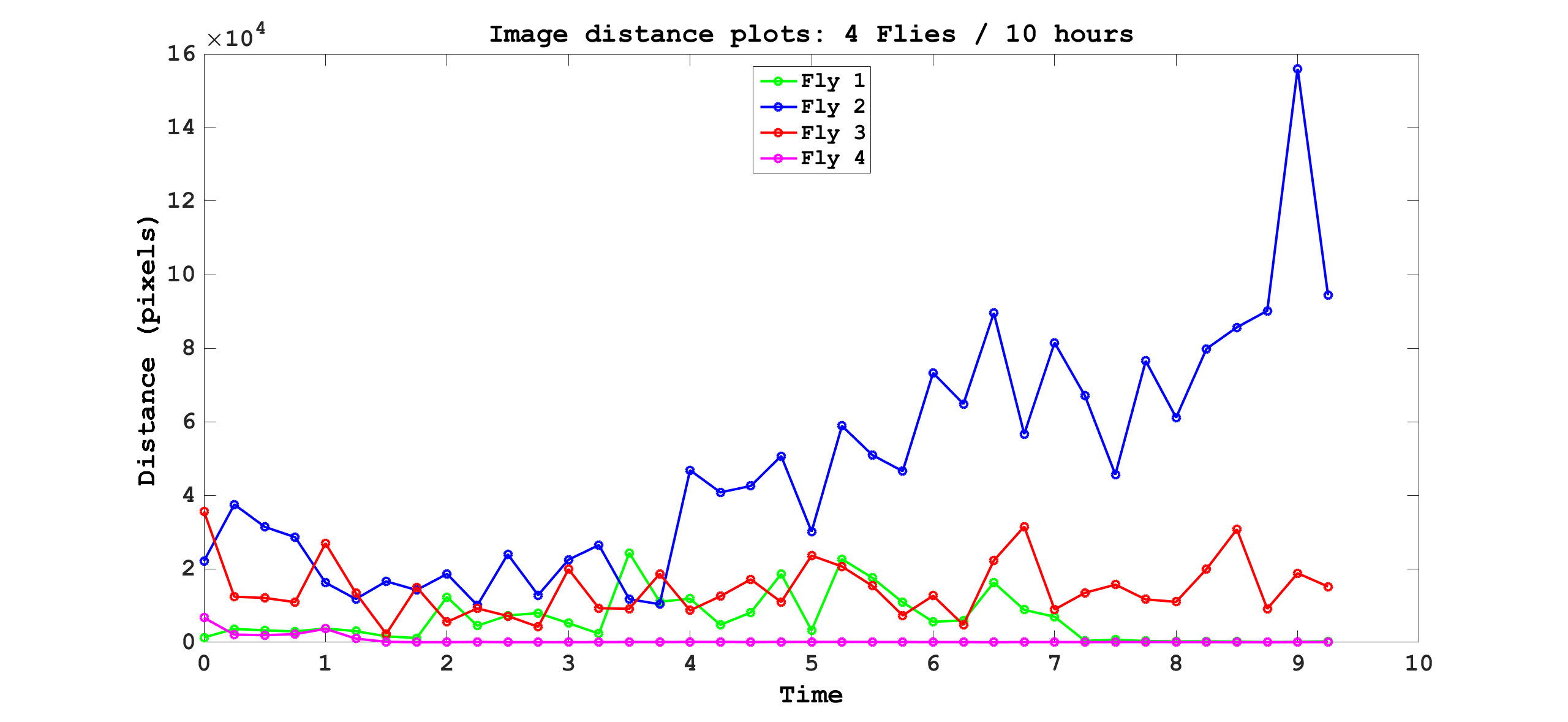 Distance traveled plots for four flies recorded for ten hours with the video-monitoring system