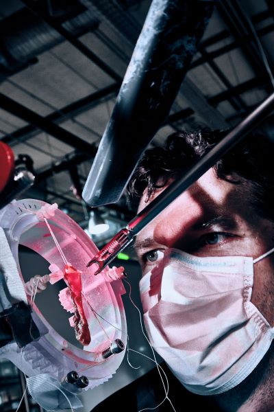 Male researcher inspects suture placement in tissue that is suspended on a linear stage