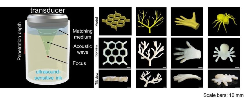 On the left: An illustration of an ultrasound transducer positioned above a chamber of ultrasound-sensitive ink, casting ultrasound waves deep into the chamber. On the right: Computer models and 3D-printed structures including a honeycomb, a vascular network, a hand, and a spider.