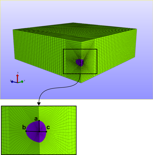 This is a computational model of stresses in tissue due to physical and chemical properties. The source is Jay Humphrey of Yale University