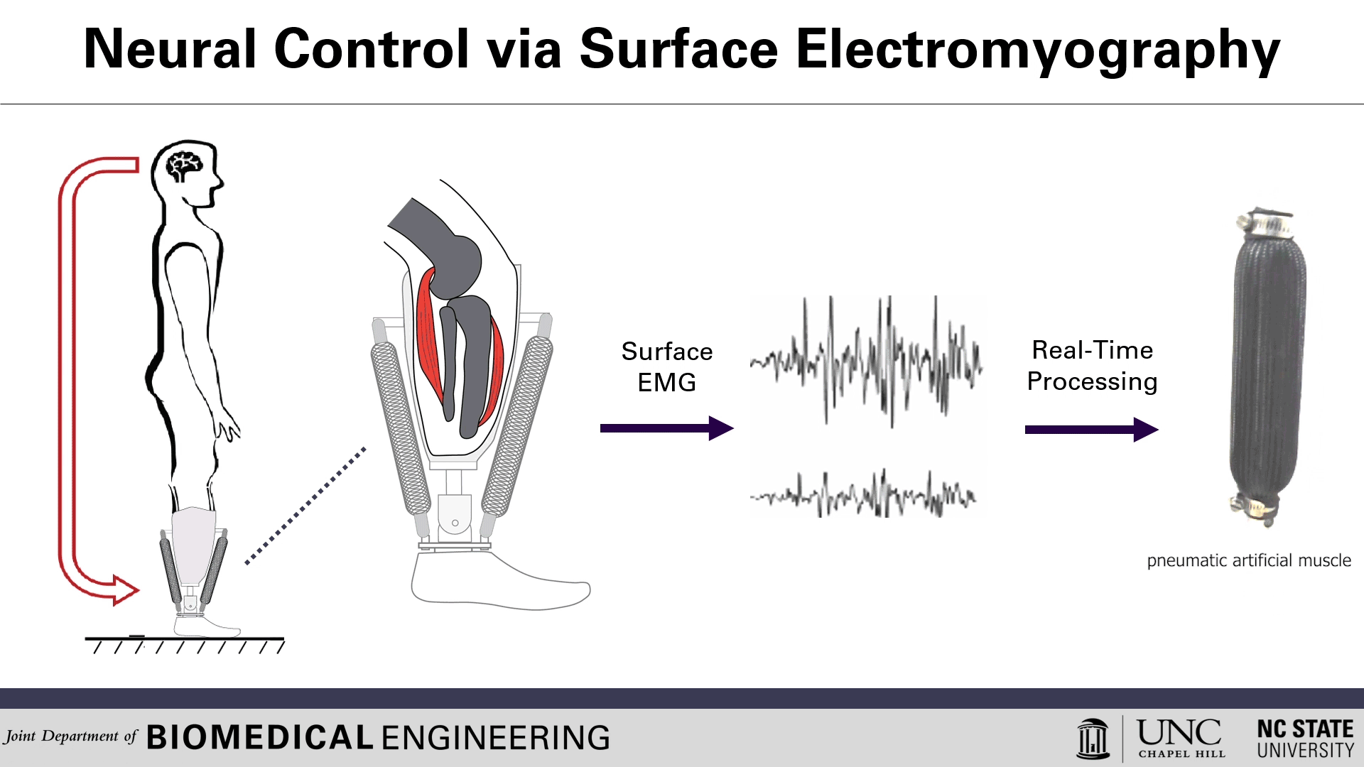 Schematic representing how the neurally controlled prosthetic works
