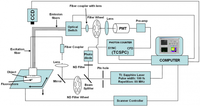 Block diagram of Lifetime Fluorescence Imaging system