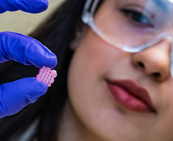 scientist holding pink tissue engineering chip