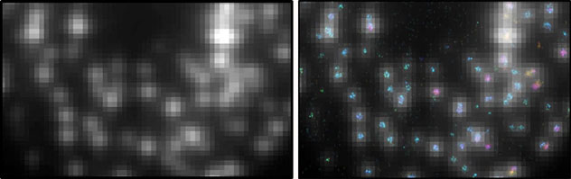 IPALM of clathrin in PC12 cells