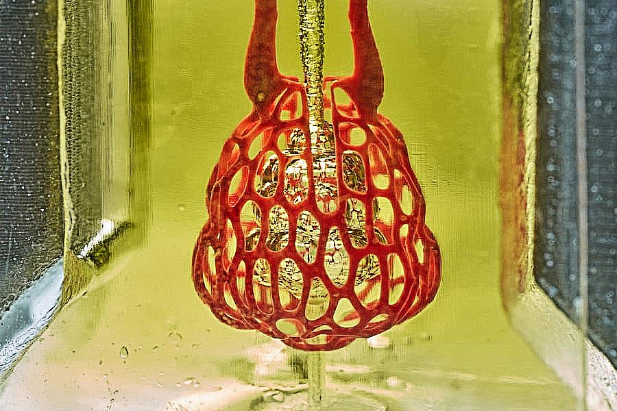 bioprinted lung sac