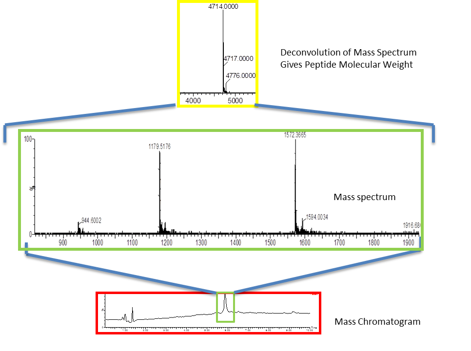 Figure of liquid chromotography mass spectrometry