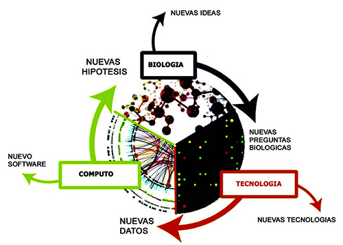 Gráfica que describe los componentes de modelado computacional