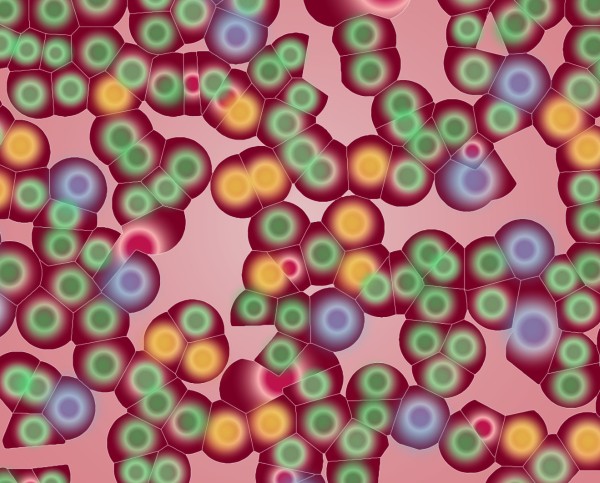 diagram of different mutations in a population of cells