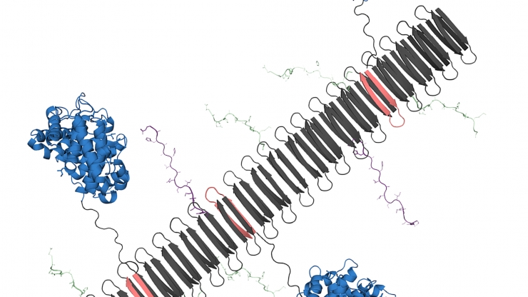 nanofiber with protein unit side chains