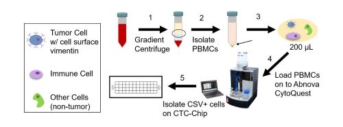 image of how tumor cells are captured