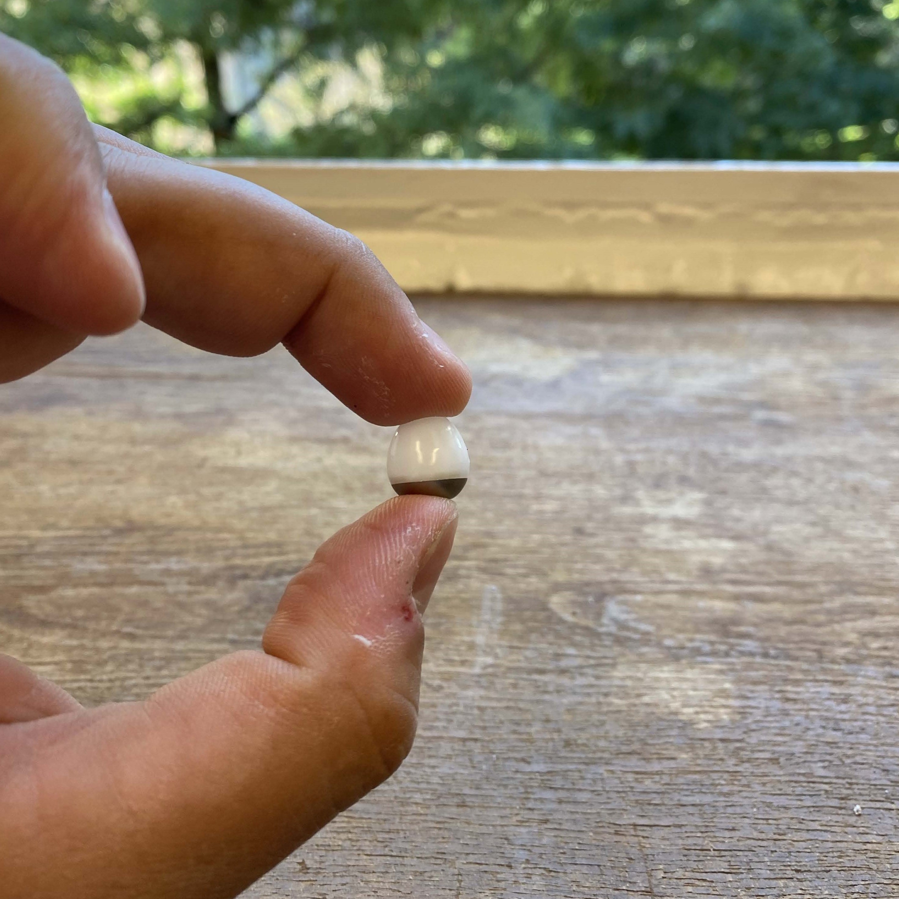 The robotic pill being held between the middle finger and thumb