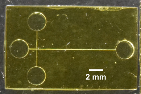 An photo of the 3D printed chip is yellow with two perpendicular lines with circles at both ends of each of the channels.