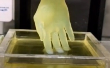 3D printed model of hand