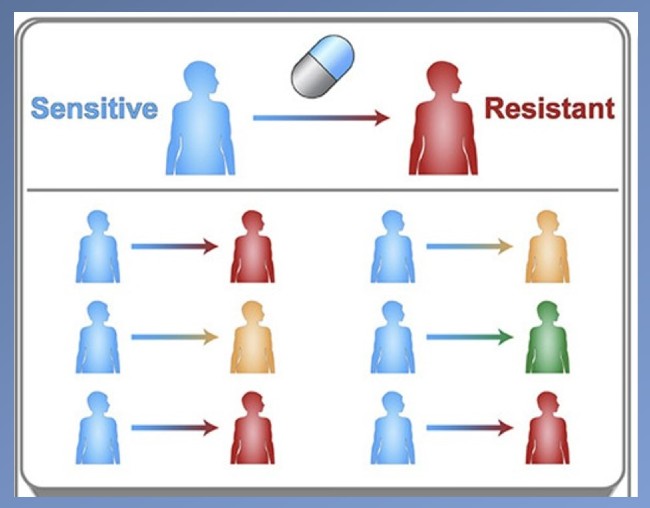 Newswise: Computer model IDs drug-resistant mutations