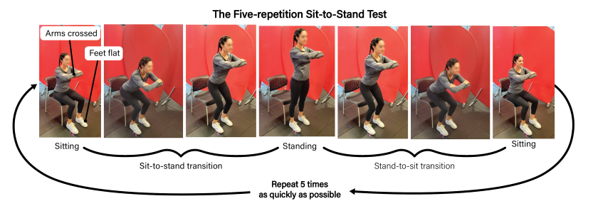 An example of an individual completing the sit-to-stand test