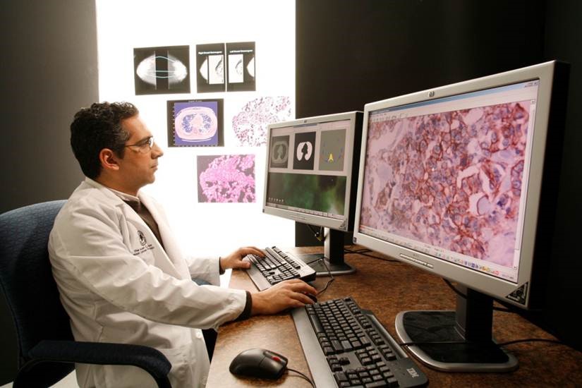 Doctor analizando imágenes de muestras de tejidos en una pantalla