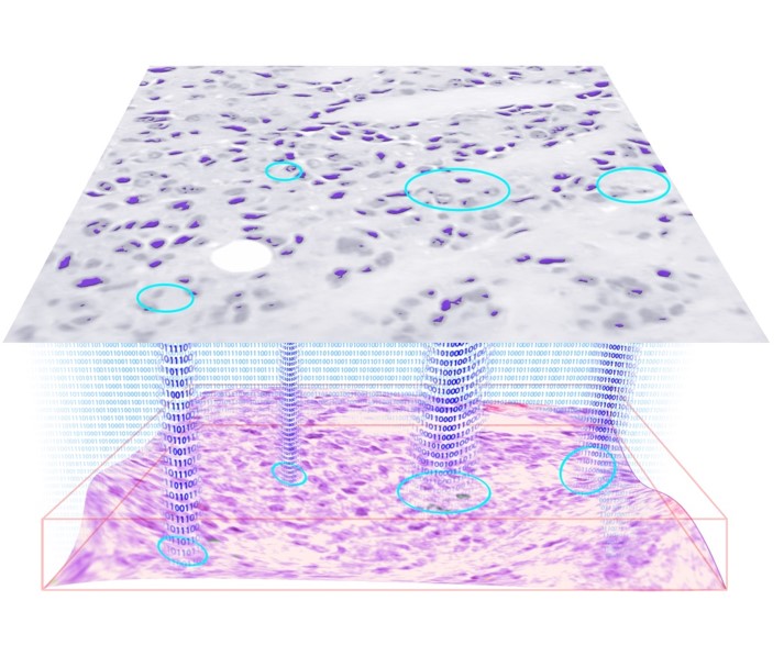 Representación artística de una red neuronal profunda.