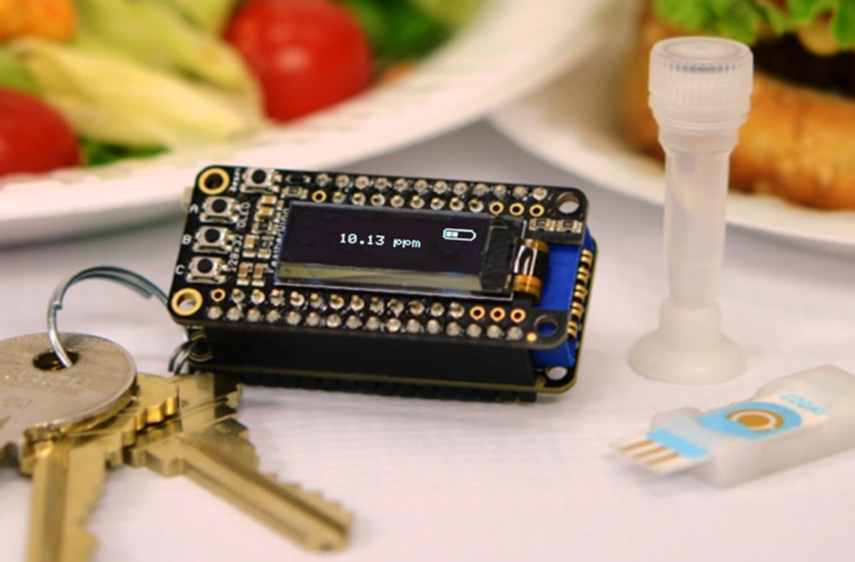Keychain food allergy lab Keychain food allergy lab