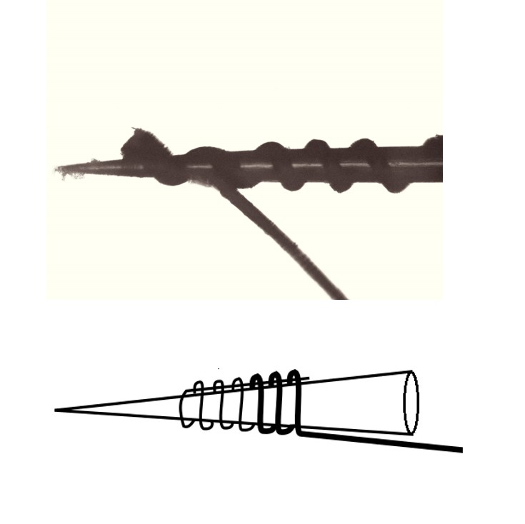 CNT yarn inserted with tungsten needle CNT yarn inserted with tungsten needle