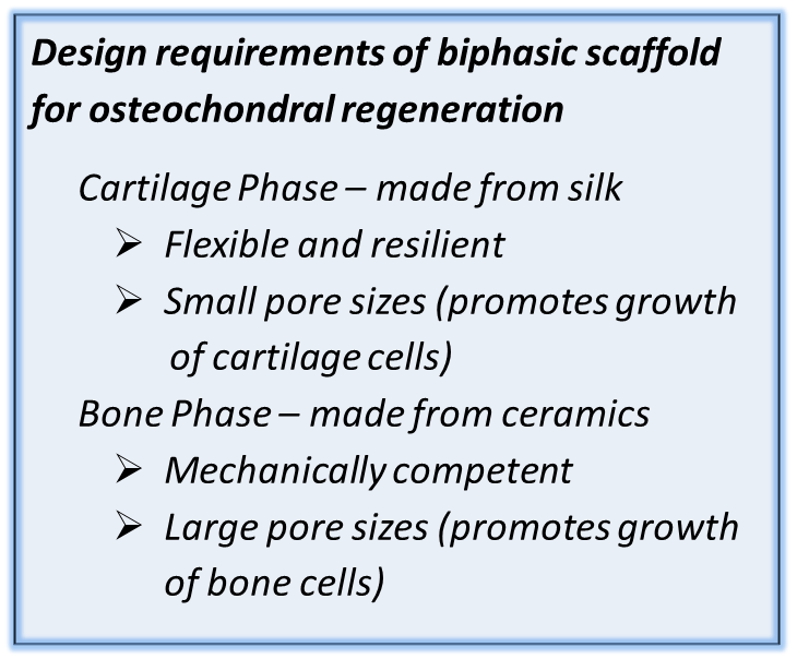 sidebar listing characteristics of silk and ceramic parts of scaffold