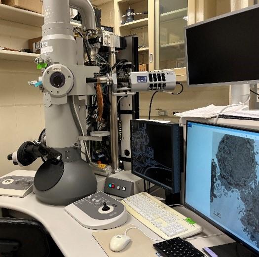 FEI T12 transmission electron microscope