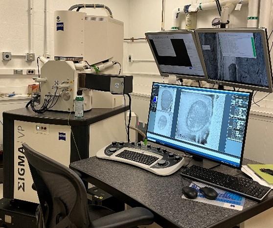 Zeiss Sigma VP-Gatan 3-View SBF scanning electron microscope