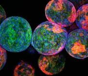Multicolored bubbles made with sugars