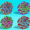 Illustration of SARS-CoV-2 viral particles in different colors on a blue background