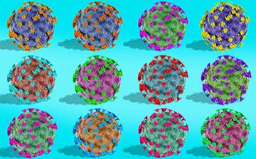 Illustration of SARS-CoV-2 viral particles in different colors on a blue background