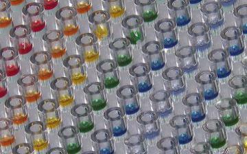 Unsealed microparticles filled with colored buffer