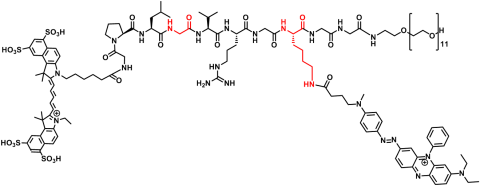 Image of a chemical structure of a fluroescent probe