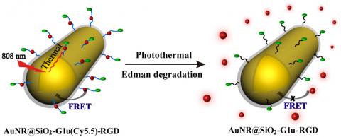 Image of a gold silica nanorod
