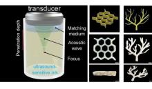 On the left: An illustration of an ultrasound transducer positioned above a chamber of ultrasound-sensitive ink, casting ultrasound waves deep into the chamber. On the right: Computer models and 3D-printed structures including a honeycomb and a vascular network.