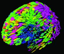 An image of a brain made up of hundreds of multi-colored ovals