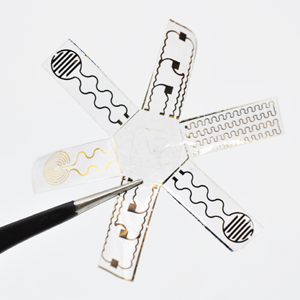 A photo of tweezers holding a six-armed, starfish-like soft robot.