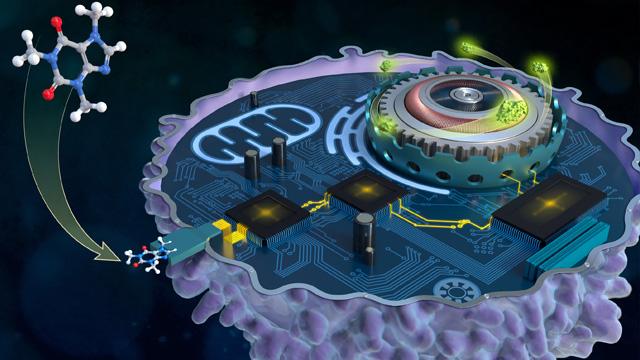 A computer generated image of a cell made up of circuits and chips with molecules moving in and out of the cell.