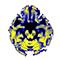 MRI of free water in the brainthumb.jpg Thumbnail