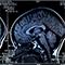 Research roadmap thumb.jpg Thumbnail