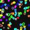 dyed cells thumbnail.jpg Thumbnail