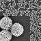 nanoparticle 60 x 60_0.jpg Thumbnail