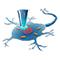 NIH Names Winners of “Follow that Cell” Phase 2 Competition