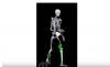 computer modeling of skeleton walking
