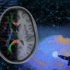 An overlaid medical image featuring a brain scan, ultrasound, and computer code.