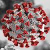 virus image