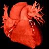 image of a heart